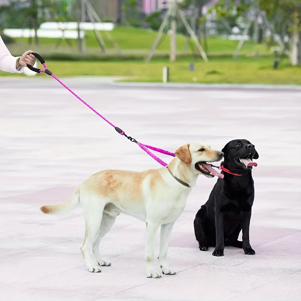 Double Leash for Dogs