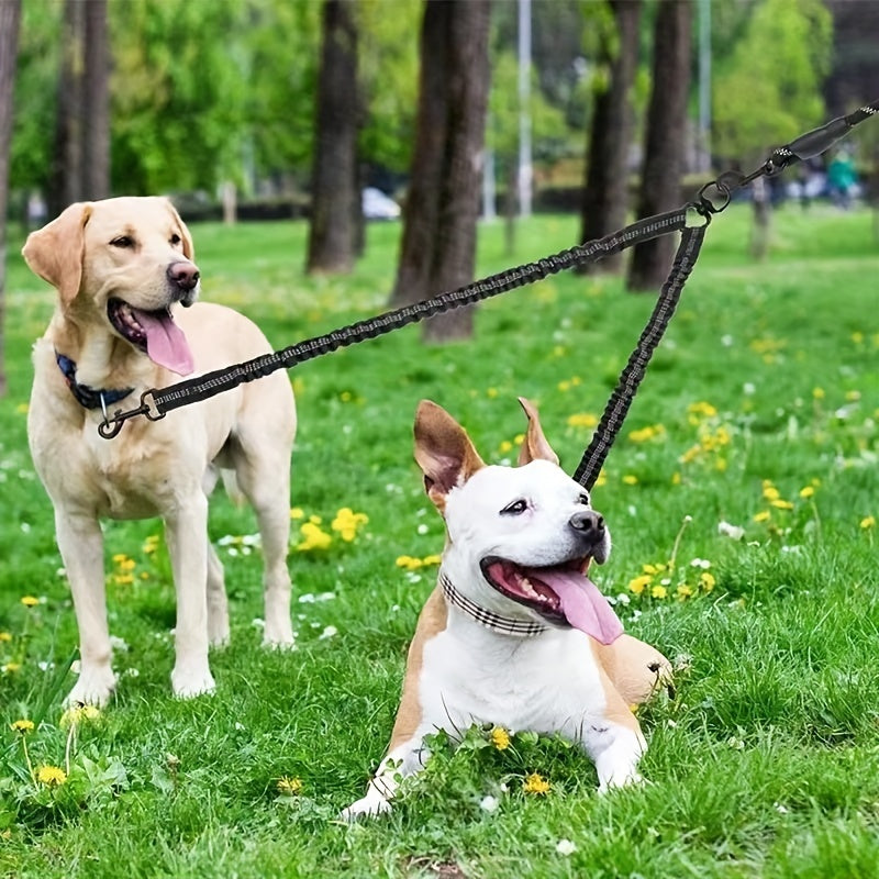 Double Leash for Dogs